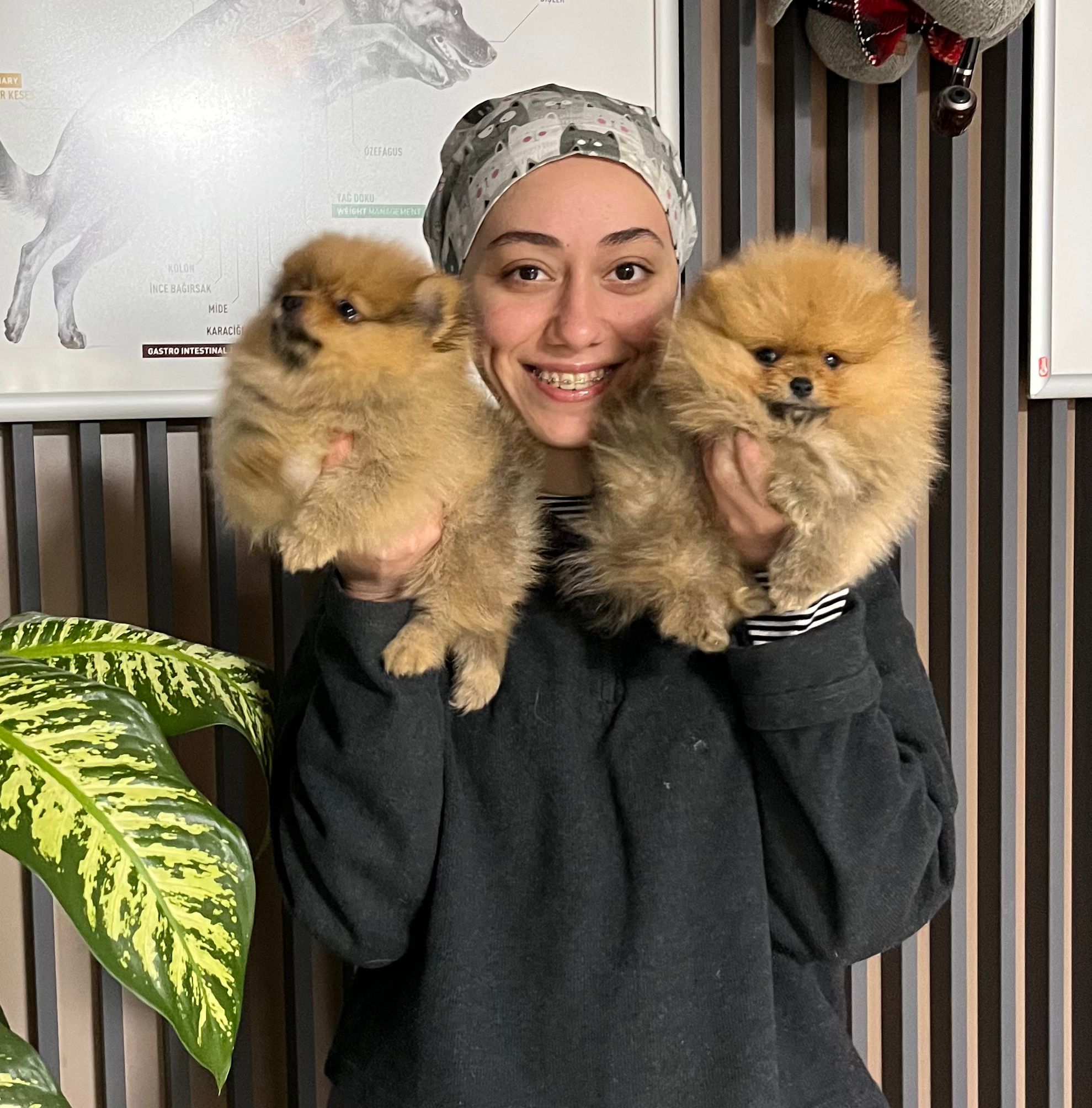 Buse Yaşar