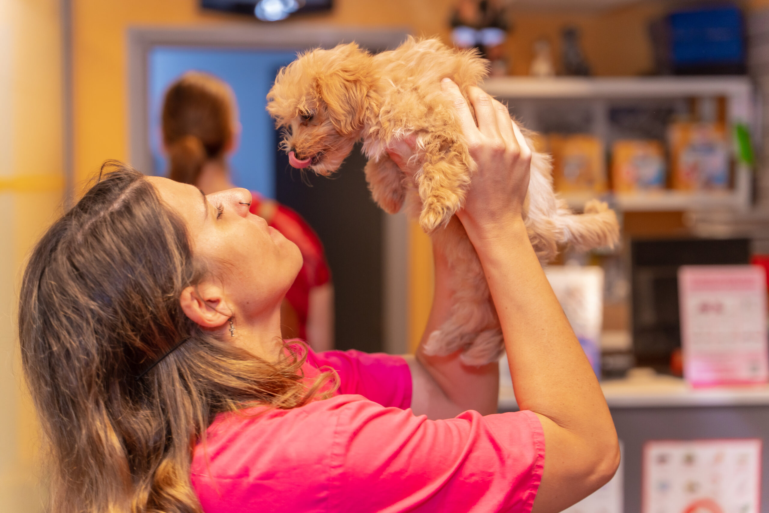 Petshop